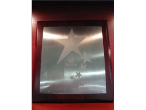 2010年度別克銷(xiāo)售五星（牌）